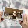 SKYMEE Pet Camera: Owl Robot & Petalk AI II 1080 FHD Pet Camera Treat Dispenser Interactive Toy for Dogs Cats Remote App Control SKYMEE Pet Camera: Owl Robot & Petalk AI II 1080 FHD Pet Camera Treat Dispenser Interactive Toy for Dogs Cats Remote App Control