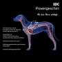 Julius-K9 16STEALTH-P-2 IDC Stealth Powerharness for Dogs, Size: 2, UV Orange