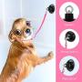 Frienda 4 Pieces Wash Dog Grooming Tub Restraint Set Include Dog Bathing Suction Cup Lead and Pet Bathing Tether Adjustable Dog Cat Fixed Safety Rope for Pet Bathing Grooming