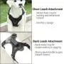 CoreLife Reflective Dog Harness, No Pull/No Choke [Front & Back 3 Leash Attachments] Mesh & Vegan Leather Reflective Dog Vest with Handle (for Small Medium Large Dog)