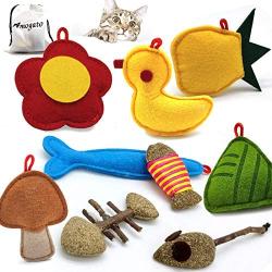 Amogato 9 Pack Catnip Toys for Indoor Cats, Kitten Cat Toys with Catnip Natural for Dental Health