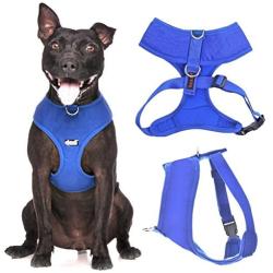 Dexil Elite Range Luxury Padded Waterproof Adjustable Back and Front Ring Non-Pull Pet Dog Vest Harness XSmall Small Medium Large