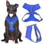 Dexil Elite Range Luxury Padded Waterproof Adjustable Back and Front Ring Non-Pull Pet Dog Vest Harness XSmall Small Medium Large