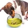 Lifeunion Dog Slower Feeder Bowl Spill-Proof Pet Tumbler Bowel to Slow Down Eating Interactive Puzzle Bloat Food Bowls for Dogs Cats Lifeunion Dog Slower Feeder Bowl Spill-Proof Pet Tumbler Bowel to Slow Down Eating Interactive Puzzle Bloat Food Bowls for Dogs Cats