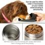 PetFusion Portable Dog Water Bottle (New; Large Dispenser, 22 oz). Insulated 2 Wall Stainless Steel for Optimal Cool Water Temp, Leak Proof, eco Friendly