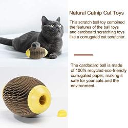 Cat Toys for Indoor Cats, Upgrade Catnip Kitten Toys for Cats, Cardboard Scratch Ball Refillable Catnip Toy Cat Tickle Toy Set with Catnip, Cat Interactive Toys for Kitten Scratching Playing