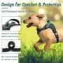 rabbitgoo Dog Harness, Adjustable Dog Walking Harness with Handle and Shock-Absorbing Bungee Straps, Reflective Dog Vest Harness No Choke, Halter Harness with Padded Strap for Medium Dogs, M