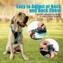 Petties&Sweeties No Pull Dog Harness, Reflective Adjustable Soft Padded Vest Unique Colors,with a Easy Control Training Handle