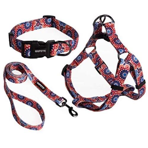 Dog Collar Harness Leash Set,Adjustable Basic Collar Halter Vest Harness Back Clip with Heavy Duty 5FT Anti-Twist Leash for Extra Small Medium Large Breed Dogs Training Easy Walk Running Hiking