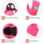 RAINDEE Dog Harness All Weather Soft- Mesh Vest Harness for Small and Medium Dogs 4 Size 7 Colors