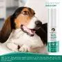 POINTPET Skin & Coat - Natural Grooming and Conditioning Care Spray for Dogs and Cats - Dryness, Itching, Red Paws & Elbows Soother - Helps with Pet Dandruff - Coconut, Aloe Vera, Lavender Formula POINTPET Skin & Coat - Natural Grooming and Conditioning Care Spray for Dogs and Cats - Dryness, Itching, Red Paws & Elbows Soother - Helps with Pet Dandruff - Coconut, Aloe Vera, Lavender Formula