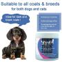 YUUP! Italy Professional Glossy Shine Hair Mask for Dogs and Cats - Ideal for Dark and Black Coats - Shining & Hydrating with Argan Oil and Wheat Germ (33.8 oz / 1000 ml)