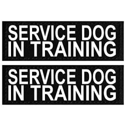 Doggie Stylz Set of 2 Reflective Service Dog in Training Removable Patches with Hook Backing for Working Dog Harnesses & Vests. Durable and Interchangeable - Comes in 3 Sizes Small, Medium and Large