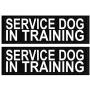 Doggie Stylz Set of 2 Reflective Service Dog in Training Removable Patches with Hook Backing for Working Dog Harnesses & Vests. Durable and Interchangeable - Comes in 3 Sizes Small, Medium and Large