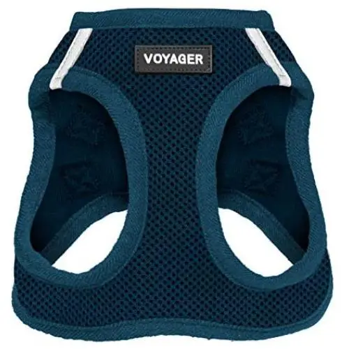 Best Pet Supplies Voyager Step-in Air Dog Harness - All Weather Mesh, Step in Vest Harness for Small and Medium Dogs, Blue (Matching Trim), S (Chest: 14.5-17'') (207-BUW-S) Best Pet Supplies Voyager Step-in Air Dog Harness - All Weather Mesh, Step in Vest Harness for Small and Medium Dogs, Blue (Matching Trim), S (Chest: 14.5-17'') (207-BUW-S)