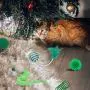 QKURT 6pcs/ Pack Christmas Stocking Dog Toys, Xmas Pet Chew Toy Set for Cat Small Dogs Puppy, Interactive Christmas Pet Stocking QKURT 6pcs/ Pack Christmas Stocking Dog Toys, Xmas Pet Chew Toy Set for Cat Small Dogs Puppy, Interactive Christmas Pet Stocking