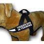 Therapy Dog in Training Nylon Harness No Pull Guide Assistance Comes with 2 Reflective Therapy Dog in Training Removable Reflective Patches. Please Measure Your Dog Before Ordering.