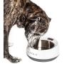 PETKIT FRESH METAL Large Anti-Bacterial Machine Washable Smart Food Weight Calculating Digital Scale Pet Cat Dog Bowl Feeder w/ Inlcuded Batteries and Ejectable Stainless Bowl, One Size, Grey
