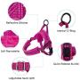 SlowTon No Pull Small Dog Harness and Leash, Heavy Duty Easy for Walk Vest Harness Soft Padded Reflective Adjustable Puppy Harness Anti-Twist Pet Lead Quick Fit for Small Dog Cat Animal