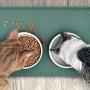 ME.FAN Dog Food Mat[24''x16''] Large Pet Food Mat - Nonslip Silicone Dog Bowl Mat - Washable Dog Feeding Mat for Food and Water, Waterproof Dog Food Mats for Floors