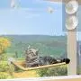 Window Cat Bed, Angela&Alex Cat Window Seat Window Perch Bed Hammock with 2 Extra Replaceable Suction Cups Space Saving All-Around 360° Sunbath Holds Up to 55 lbs for Any Cat Size Window Cat Bed, Angela&Alex Cat Window Seat Window Perch Bed Hammock with 2 Extra Replaceable Suction Cups Space Saving All-Around 360° Sunbath Holds Up to 55 lbs for Any Cat Size
