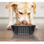 SPOT Ethical Pets 58516 Tribeca Dog Bowl, Black, 55 oz