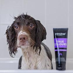 Animology True Colour Enhancing Dog Shampoo, 250ml