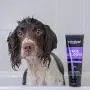 Animology True Colour Enhancing Dog Shampoo, 250ml