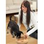 Double Sided Board Game Penny Dog Logic Toy for Pets 2 in 1