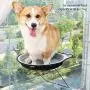 Wallfire Cat Bed Window Suction Cup Hanging Nest, Pet Cat Hammock, Saving Hanging Nest Resting Seat Pet House Windowsill Hammock (Grey) Wallfire Cat Bed Window Suction Cup Hanging Nest, Pet Cat Hammock, Saving Hanging Nest Resting Seat Pet House Windowsill Hammock (Grey)