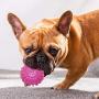 Petper Cw-0047EU Dog Ball Toy