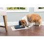 PetSafe Digital Two Meal Automatic Pet Feeder