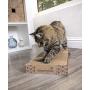 SmartyKat, Super Scratcher, Cat Scratcher, Corrugated Cardboard Scratch Pads, Catnip Infused, Long Lasting, Reversible, Double Wide