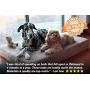 Big Barker 7'' Pillow Top Orthopedic Dog Bed for Large and Extra Large Breed Dogs (Sleek Edition)