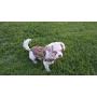OneTigris Tactical Dog Training Vest Harness with Mesh Padding and Two Handles (Coyote Brown, S / 33.5 cm)