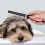 Flexzion Dog Comb - Pet Cat Grooming Trimmer Brush Stainless Steel Blade for Small Animal Puppy Dead Matted Tangles Hair Cutting Removing Tool with Rounded Teeth Needle Soft Grip Handle