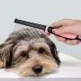 Flexzion Dog Comb - Pet Cat Grooming Trimmer Brush Stainless Steel Blade for Small Animal Puppy Dead Matted Tangles Hair Cutting Removing Tool with Rounded Teeth Needle Soft Grip Handle Flexzion Dog Comb - Pet Cat Grooming Trimmer Brush Stainless Steel Blade for Small Animal Puppy Dead Matted Tangles Hair Cutting Removing Tool with Rounded Teeth Needle Soft Grip Handle