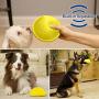K9 Slider with Squeaker Pet Toy