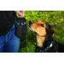 Rc Pet Products Dog Snack Caddie