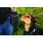 Rc Pet Products Dog Snack Caddie Rc Pet Products Dog Snack Caddie