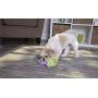 goDog Dragon With Chew Guard Technology Tough Plush Dog Toy, Lime, Small