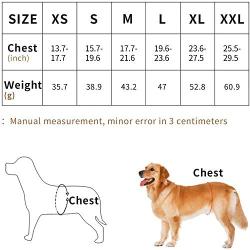 URBEST Dog Period Panties, Washable Female Dog Diapers for Samll and Large Dogs 3 Packs (S, Multi-Colors)
