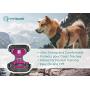Embark Adventure Dog Harness, Easy On and Off with Front and Back Leash Attachments & Control Handle - No Pull Training, Size Adjustable and Non Choke