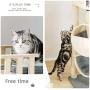 Cat Tower, Wooden Cat Condo, 3 Level Kitten Cat Tree, with Scratching Board & Post, Arched Pet Bed, Cozy Mat, Pet Furniture with Platform