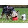KONG H2O Stainless Steel Water Bottle, 0.28 L, S