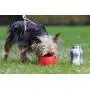 KONG H2O Stainless Steel Water Bottle, 0.28 L, S