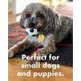 Set of 2 Extra Small Soccer Balls - Soft, Squeaky Dog Toys - Natural Rubber (Latex) - for Small Dogs & Puppies - 2'' Diameter - Comply with Same Safety Standards as Childrens Toys - Indoor Play