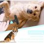 FPVERA Dog Dematting Brush Comb Undercoat Rake for Cats Dogs Short or Long Hair Pet Grooming Tool Double Row of Stainless Steel Pins-Blue