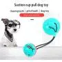 Dog Chew Toys with Bell, Dog Rope Toys with Suction Cup, Dog Ball Pull Toys, Dog Teeth Cleaning Toys, Multifunctional Interactive Pet Toys