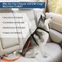 AUTOWT Dog Seat Belt, Upgrade 2 in 1 Latch Bar Attachment Dog Car Seatbelt Metal Buckle Elastic Bungee Buffer Reflective Nylon Belt Tether Connect to Dog Harness for Pet Safety